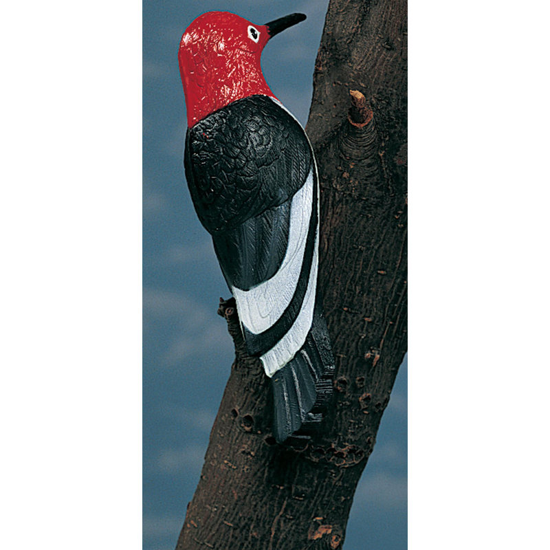 Artline Woodpecker Tree Statue & Reviews | Wayfair.ca